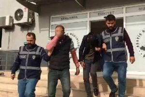 Şanlıurfa'da dolandırıcılığa 2 tutuklama