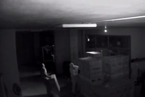 Organize hırsızlık kamerada