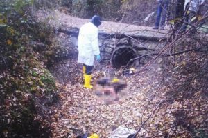 Vahşet: &Ouml;nce bı&ccedil;akladı ardından yaktı!