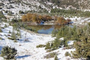 Spil Milli Parkı'ndan kar manzaraları