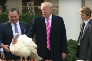 Trump iki hindinin yaşamını bağışladı