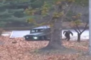 Kuzey Kore ka&ccedil;an askerini vurdu!