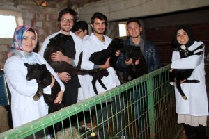 Bursa'da veteriner adayları derslerini çiftlikte yapıyor
