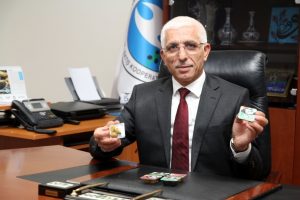 Marmarabirlik zeytini artık tane tane satacak