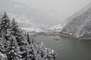 Doğu Karadeniz'den kartpostallık kar manzaraları