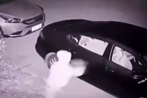 Hırsızın attığı taş başını yardı