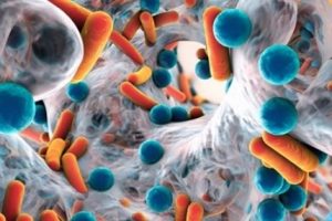 Antibiyotik direncine &ccedil;&ouml;z&uuml;m olabilecek adım
