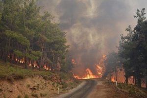 Orman yangınlarıyla m&uuml;cadelede yeni &ouml;nlem