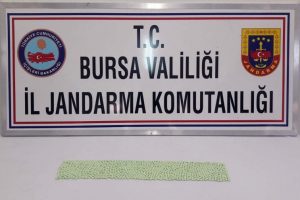Bursa'da jandarmadan Skunk operasyonu