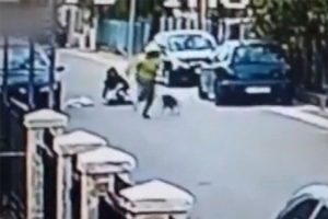 Kapka&ccedil;&ccedil;ı sokak k&ouml;peğine takıldı