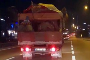 Bursa'da şaşırtan 3 develi yolculuk!