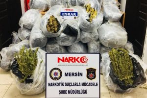 198 kilo esrar ele ge&ccedil;irildi