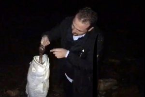 Nesli t&uuml;kenmekte olan balık "pet şişe" kurbanı oldu