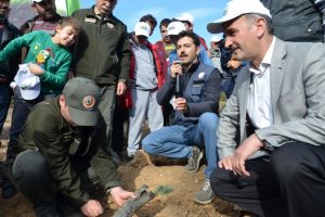Bursa Gemlik'te hatıra ormanı