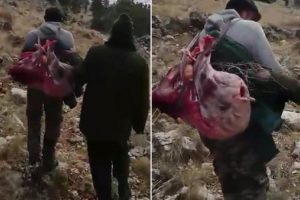 Ekipler lastik izlerinden ş&uuml;phelenip ke&ccedil;i avcısını yakaladı