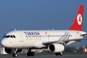 THY artık Almanya'ya evcil hayvan taşıyamayacak