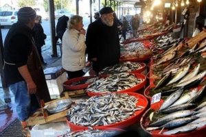 Balık&ccedil;ılar palamut ve hamside umduğunu bulamadı