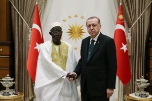 Cumhurbaşkanı Erdoğan, Gambiya B&uuml;y&uuml;kel&ccedil;isini kabul etti