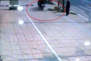 B&ouml;yle k&ouml;pek ka&ccedil;ırma g&ouml;r&uuml;lmedi