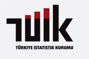 &Ccedil;evresel istihdam, gelir ve harcama istatistikleri a&ccedil;ıklandı