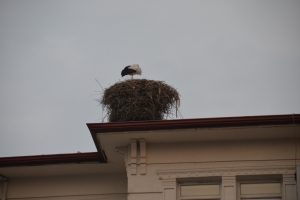 Havalar soğumayınca kenti terk etmediler