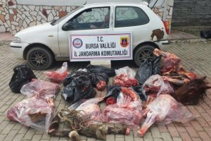 Bursa'da piyasaya s&uuml;r&uuml;lmek istenen at etleri son anda ele ge&ccedil;irildi