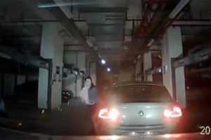 Kadın s&uuml;r&uuml;c&uuml; paniğe kapılınca...