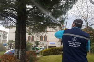 Bursa'da 'zararlılarla' m&uuml;cadele s&uuml;r&uuml;yor!