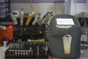 BM AIDS'in Mısır'da yayılmasından endişeli