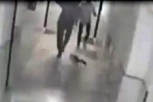 Bir cani daha! Evinin &ouml;n&uuml;nde gelen kediye tekme attı...