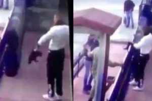 Yavru kediye işkence yapan cani serbest bırakıldı