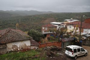 Bursa milletvekilleri b&ouml;lgeye gitti! Mudanya'da zeytin ağa&ccedil;larının s&ouml;k&uuml;ld&uuml;ğ&uuml; iddiası