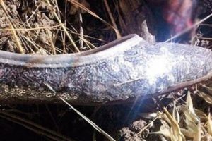 Sır perdesi aralanıyor! Babet fotoğrafı ile hafızalara kazınmıştı