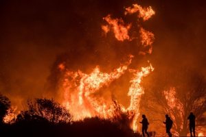 ABD'nin California eyaletinde orman yangını