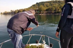 Sapanca G&ouml;l&uuml;'nden ağlar toplandı