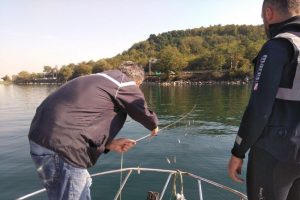 Sapanca G&ouml;l&uuml;'nde doğal yaşam korunuyor