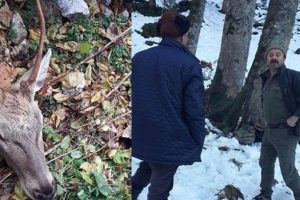 Kovalamaca yaşandı: B&ouml;yle yakalandılar