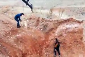 Maden iş&ccedil;ileri &ccedil;ukurda mahsur kalan k&ouml;peği kurtardı