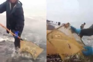 Rusya'da hamsi sahile vurdu
