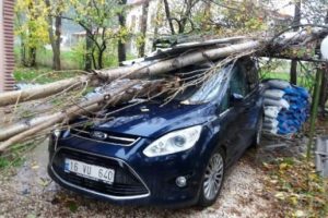 Bursa Orhangazi'de lodos ağacı devirdi