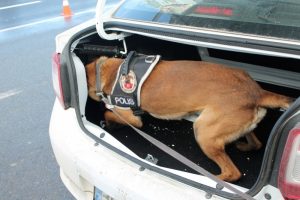 Onlar polis ekiplerinin eli ayağı