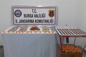 Bursa'da kumar operasyonu! 65 kişiye ceza
