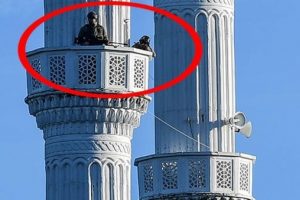 İstanbul'da olağan&uuml;st&uuml; g&uuml;n! B&ouml;yle getirildi