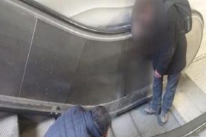 İstanbul'un g&ouml;beğinde bonzai manzaraları