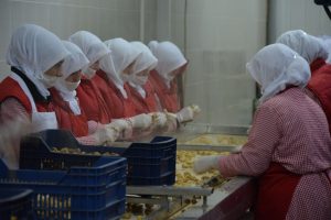 Bursa'da kestane fiyatları u&ccedil;uşa ge&ccedil;ti!