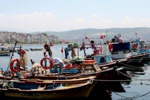 Zeytin başkenti Bursa Gemlik'te fotoğraf yarışması