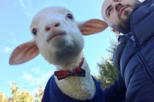 Adı Alex: Kuzusu değil &ccedil;ocuğu