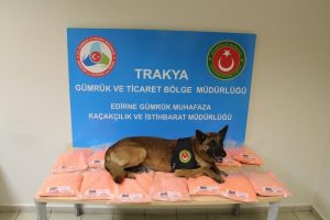 Kapıkule'de 12 milyon liralık uyuşturucu hap ele ge&ccedil;irildi