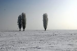 D&uuml;şen kırağı harika manzaralar oluşturdu