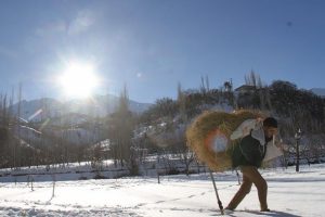 Hayvanları i&ccedil;in kızaklarla ve sırtlarında ot taşıyorlar